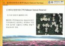 세계자연문화유산 제주 15페이지