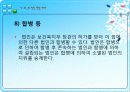 사회복지사업법 33페이지