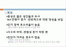 산후 우울증과 노인 우울증 22페이지