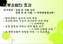 치매 예방 ppt 32페이지