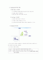준준형차량 마케팅의 전략분석 11페이지