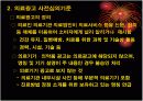 의료마케팅·광고 및 운영실무 20페이지