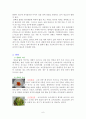 우리나라 팔도 전통음식 특징, 생채와 숙채, 나물음식 5페이지