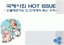 국제사회 HOT ISSUE-인플루엔자A의 전세계적 확산- 1페이지