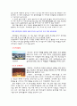 기업의 사회적책임 사례 6페이지