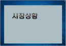 [마케팅관리]신규고객 창출을 위한 '대명리조트' IMC전략 방안 3페이지