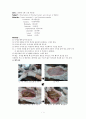 토끼 해부 실험 - 토끼 외형 관찰 보고서 2페이지