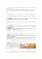 [소비자행동론]'에띄드하우스' 의 소비자행동에 따른 마케팅전략 분석 및 차별화 방안 7페이지