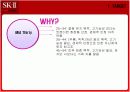[마케팅]SK-II 화장품 브랜드마케팅 전략  19페이지