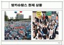 방카슈랑스 도입으로 인한 효과와 대응전략 12페이지