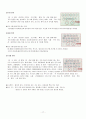 한국 음식의 이해  19페이지