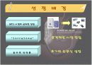 레인콤의 핵심역량구축 3페이지