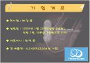 레인콤의 핵심역량구축 4페이지