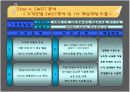 레인콤의 핵심역량구축 20페이지
