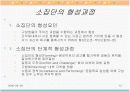 소집단과 팀행동분석 12페이지