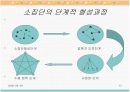 소집단과 팀행동분석 13페이지
