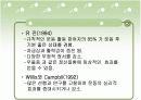 [모든학과] [심리학]스포츠 심리학의 운동과 정신건강에 관한 자료 4페이지