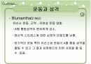 [모든학과] [심리학]스포츠 심리학의 운동과 정신건강에 관한 자료 20페이지