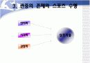 [스포츠심리학] 스포츠관중효과 12페이지