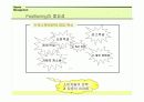 [모든학과] 프로스포츠마케팅전략 21페이지