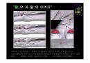 [모든학과] Independent Study(영화 감상 후 레포트 작성) 8페이지