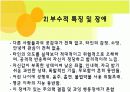 아동기정신질환 6페이지