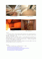 루이스 칸  - < 킴벨미술관 >     5페이지