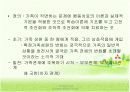 인지행동주의 가족치료 3페이지