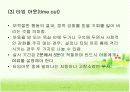 인지행동주의 가족치료 19페이지