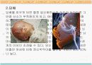 태아기의정신건강 5페이지