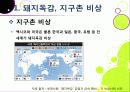 [돼지독감]돼지독감ppt, 돼지독감의 이해와 대처 방안, 돼지독감 감염 증상과 대처 방안, 돼지독감(바이러스) 예방을 위한 방법 3페이지