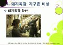 [돼지독감]돼지독감ppt, 돼지독감의 이해와 대처 방안, 돼지독감 감염 증상과 대처 방안, 돼지독감(바이러스) 예방을 위한 방법 4페이지