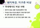 [돼지독감]돼지독감ppt, 돼지독감의 이해와 대처 방안, 돼지독감 감염 증상과 대처 방안, 돼지독감(바이러스) 예방을 위한 방법 5페이지