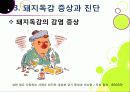 [돼지독감]돼지독감ppt, 돼지독감의 이해와 대처 방안, 돼지독감 감염 증상과 대처 방안, 돼지독감(바이러스) 예방을 위한 방법 11페이지