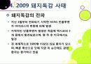 [돼지독감]돼지독감ppt, 돼지독감의 이해와 대처 방안, 돼지독감 감염 증상과 대처 방안, 돼지독감(바이러스) 예방을 위한 방법 13페이지