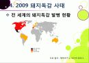 [돼지독감]돼지독감ppt, 돼지독감의 이해와 대처 방안, 돼지독감 감염 증상과 대처 방안, 돼지독감(바이러스) 예방을 위한 방법 14페이지