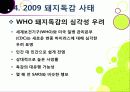 [돼지독감]돼지독감ppt, 돼지독감의 이해와 대처 방안, 돼지독감 감염 증상과 대처 방안, 돼지독감(바이러스) 예방을 위한 방법 15페이지