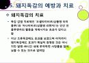 [돼지독감]돼지독감ppt, 돼지독감의 이해와 대처 방안, 돼지독감 감염 증상과 대처 방안, 돼지독감(바이러스) 예방을 위한 방법 19페이지