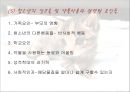 청소년의 정신건강 24페이지
