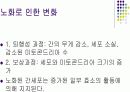 간, 담도, 췌장 3페이지