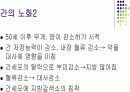 간, 담도, 췌장 5페이지