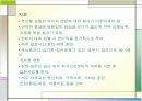 영유아기의 정신질환 14페이지