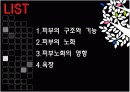 피부기계 2페이지