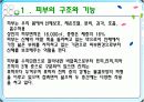 피부기계 3페이지