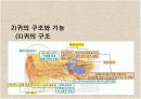 감각기계 8페이지