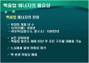 핵융합에너지 6페이지