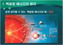 핵융합에너지 10페이지