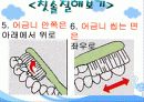 [보건교생]구강교육ppt 13페이지