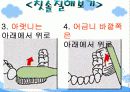 [보건교생]구강교육ppt 14페이지