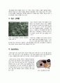 [대기오염]대기오염의 원인과 심각성, 대기오염 문제와 해결을 위한 대책, 대기오염 물질의 종류와 영향 및 사례 5페이지